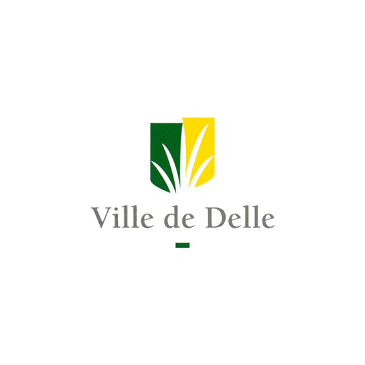 Ville de Delle