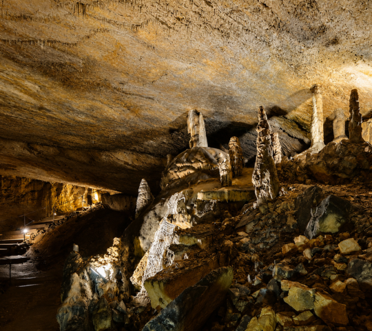 Grottes et Préhisto-Parc de Réclère